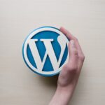 Website mit WordPress: Der perfekte Start auch für IT-Neulinge